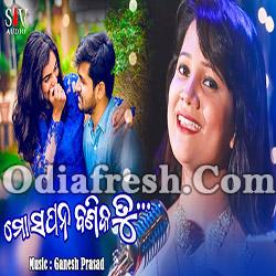 Mo Sapana Banika Tu (Barnali Hota) Odia Romantic​ Song